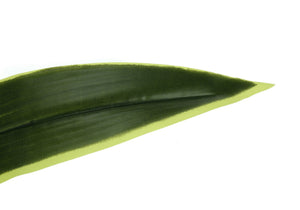 47" Tall, Artificial Plant, Dracaena Tree, Indoor, Faux, Fake, Floor, Greenery, Potted, Real Touch, Decorative - Green / Black - Best Buy Furniture