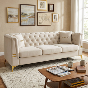 Contemporary Velvet Sofa With 2 Pillows