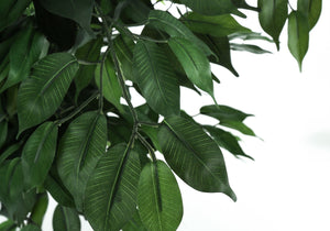 58" Tall, Artificial Plant, Ficus Tree, Indoor, Faux, Fake, Floor, Greenery, Potted, Decorative - Green / Black - Best Buy Furniture