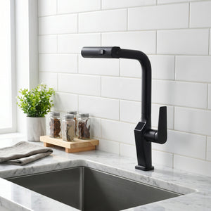 Touchless Matte Kitchen Faucet