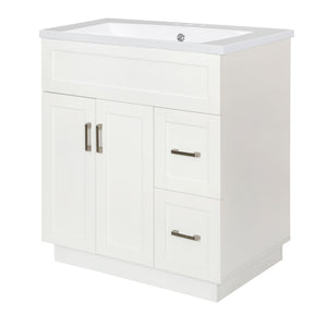Bathroom Vanity With 2 Doors, 2 Drawers, Adjustable Shelf, Hidden Slides & Soft Close Hinges