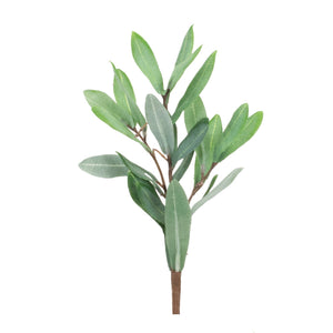Olive-leaf-foliage-pick-(set-of-12)-Floral-&-Greenery