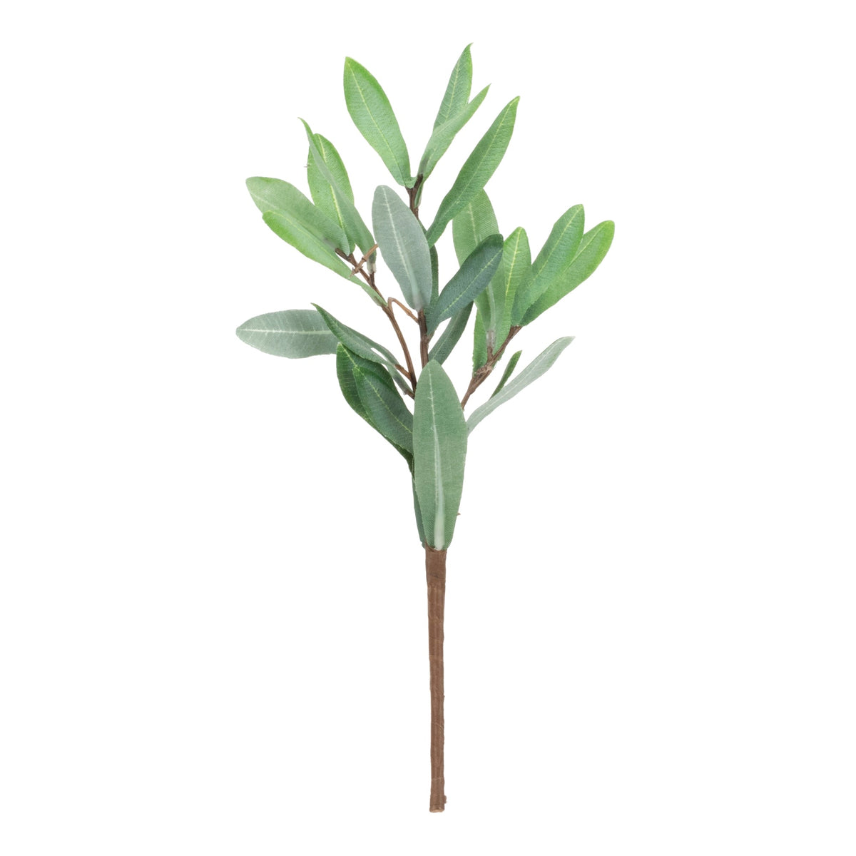 Olive leaf foliage pick (set of 12)