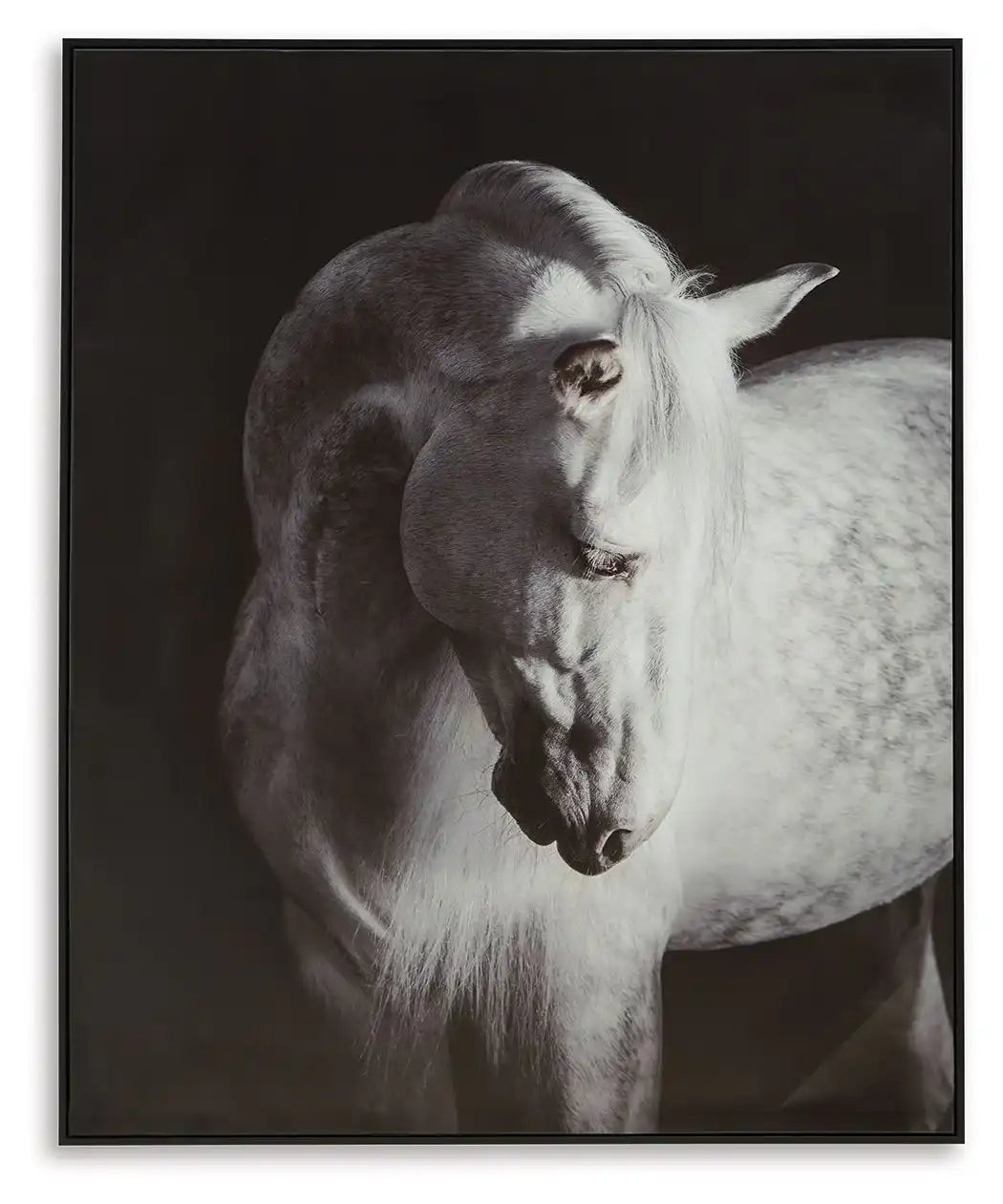 Archerwick - Wall Art - Black / White - Best Buy Furniture