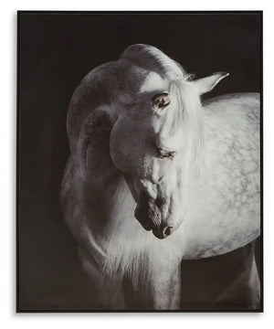 Archerwick - Wall Art - Black / White - Best Buy Furniture