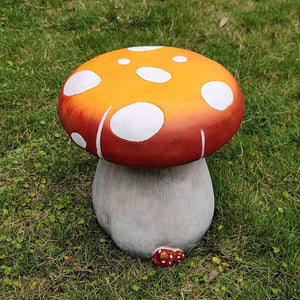 24937656