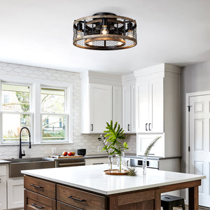20'' Cage Ceiling Fan With Remote Control