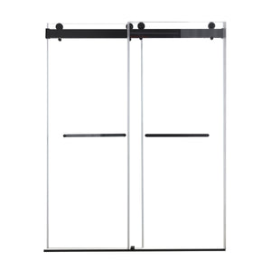 48 inches x 76 inches Double Sliding Shower Door in Matte