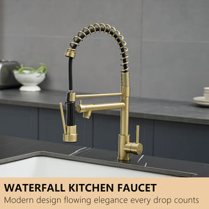 Stainless Steel Kitchen Faucet with Pull Down Sprayer