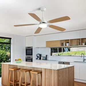 Ceiling Fan With LED Light, 6-Speed Wind, 5 Blades, Remote Control DC Motor