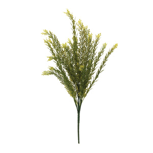 Baby Tears Foliage Bush (Set of 6)