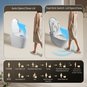 Tankless Smart Toilet With Bidet Built In