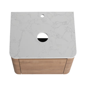 24'' Wall-Mounted Bathroom Vanity with Soft-Close Door