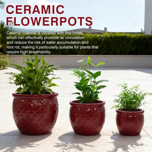 Handmade Ceramic Flower Pot Set of 3