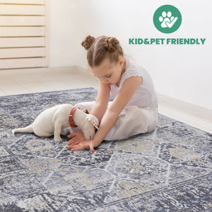 Payas - 6' X 9' Traditional Area Rug - Gray / Blue