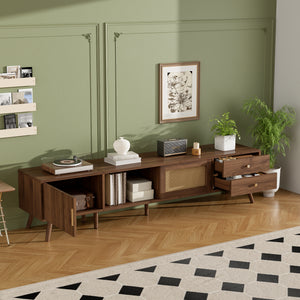 76" Modern Rattan Doors TV Stand