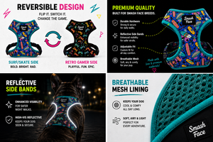 Totally Radical Reversible Dog Harness, Collar & Leash Set | Retro Gamer & Surf Skate Print | French Bulldog Harness