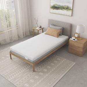 NapQueen 6 Inch Twin XL Size Memory Foam Mattress
