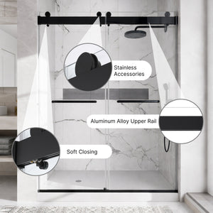 48 inches x 76 inches Double Sliding Shower Door in Matte
