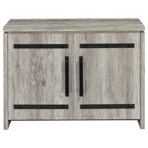 2 Door Accent Cabinet With Accents - Gray