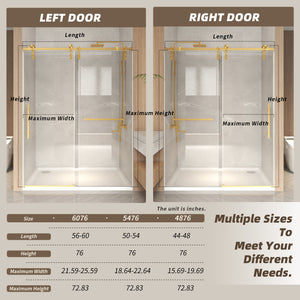 56-60" x 76" Frameless Sliding Shower Door