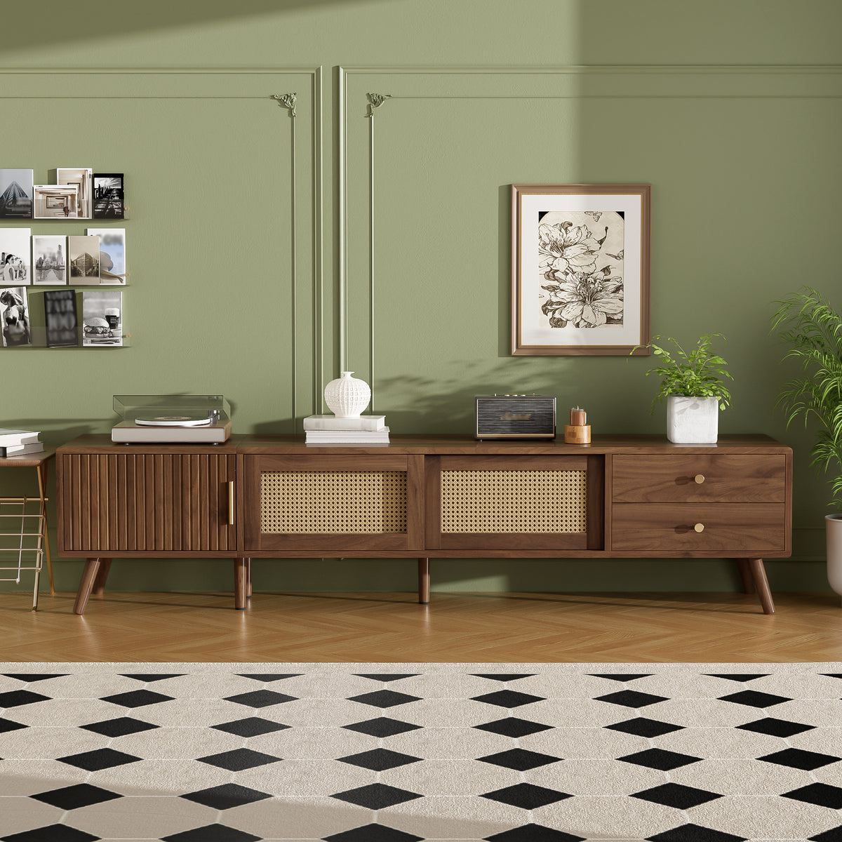 76" Modern Rattan Doors TV Stand