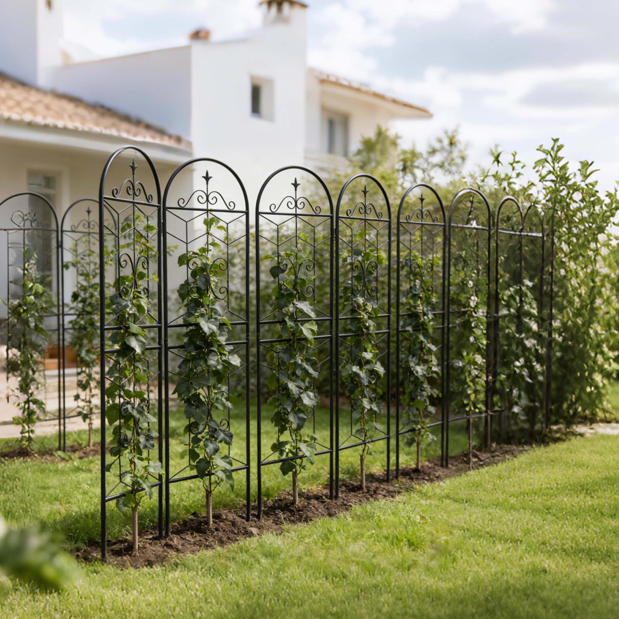 4 Pack Metal Garden Trellis