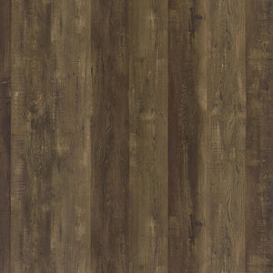 Sager - 4 Shelf Accent Cabinet - Oak