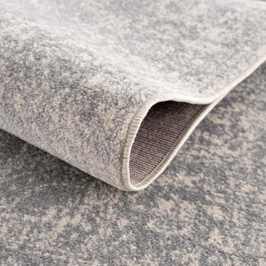 Peeta Gray Medallion Area Rug
