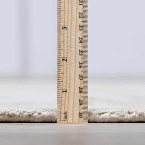 Auchter Soli Taupe Premium Sheer Carpet