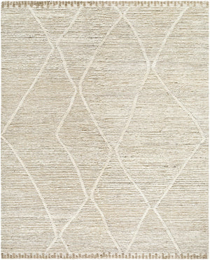 Aysu   Area Rug - Clearance