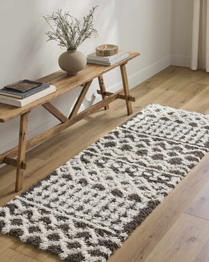 Aysel Shag Area Rug