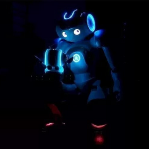 Advanced Humanoid AI Companion Robot for Adults with Multi-Sensory Interaction and Global Communication