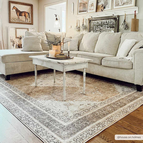 Albas Washable Area Rug