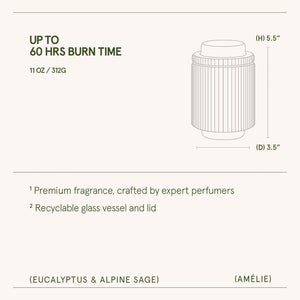 Amélie –  Eucalyptus & Alpine Sage Candle