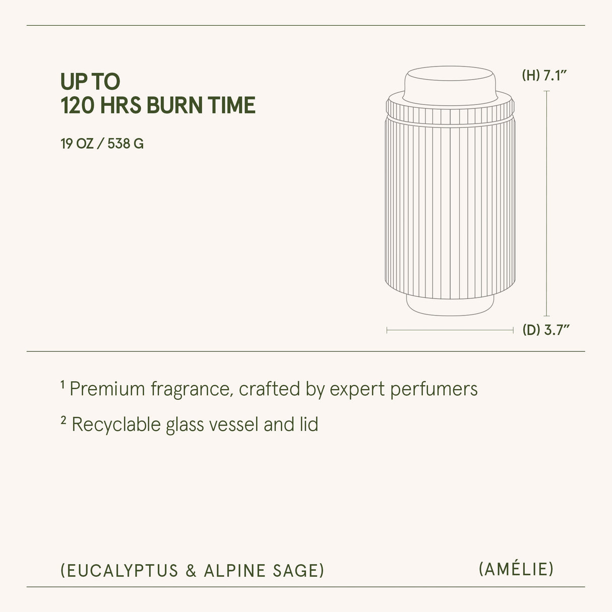Amélie –  Eucalyptus & Alpine Sage Candle