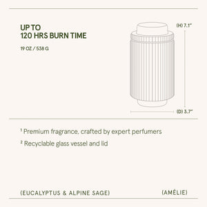 Amélie –  Eucalyptus & Alpine Sage Candle