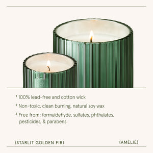 Amélie – Starlit Golden Fir 11oz Candle