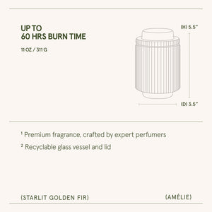 Amélie – Starlit Golden Fir 11oz Candle