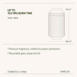 Amélie – Tomato & Vine Candle