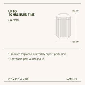 Amélie – Tomato & Vine Candle