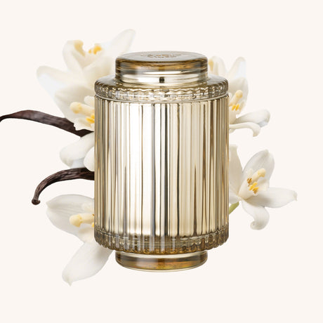 Amélie – Vanilla Plum Sky 11oz Candle