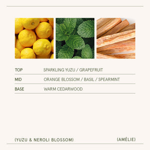 Amélie – Yuzu & Neroli Blossom Candle