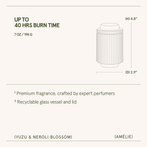 Amélie – Yuzu & Neroli Blossom Candle