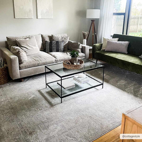 Ashra Area Rug