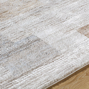 Anaisa Beige Luxe Thick Area Rug
