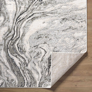 Brandi Gray Marble Area Rug