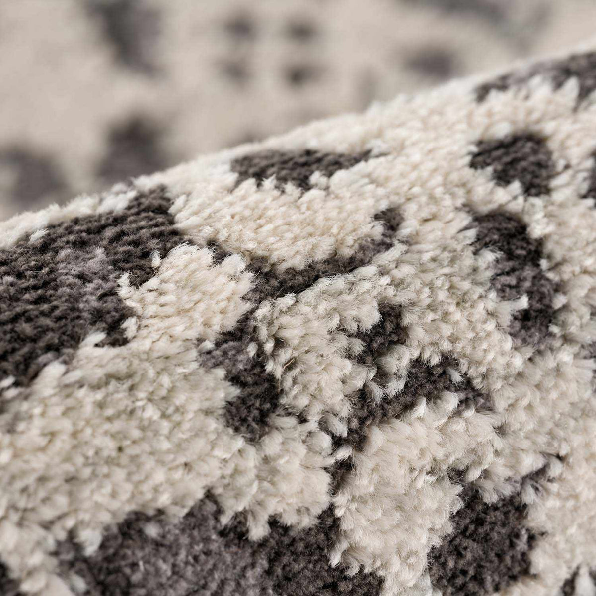 Boutique Rugs Megargel Area Rug - view 12