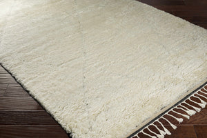 Birdwell Area Rug - Clearance
