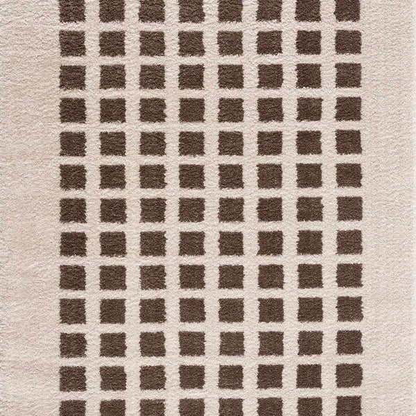 Baback Brown Washable Area Rug